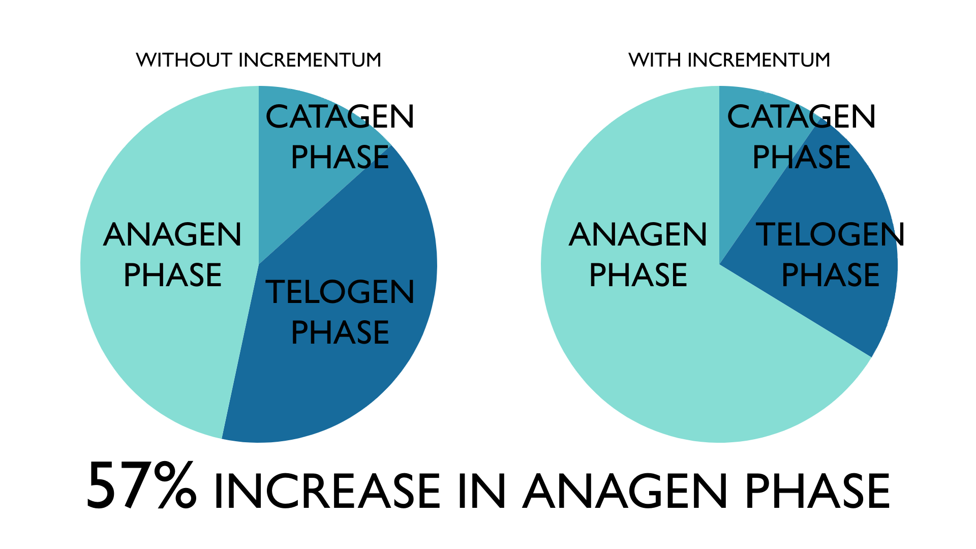 INCREMENTUM THE HAIRBRUSH