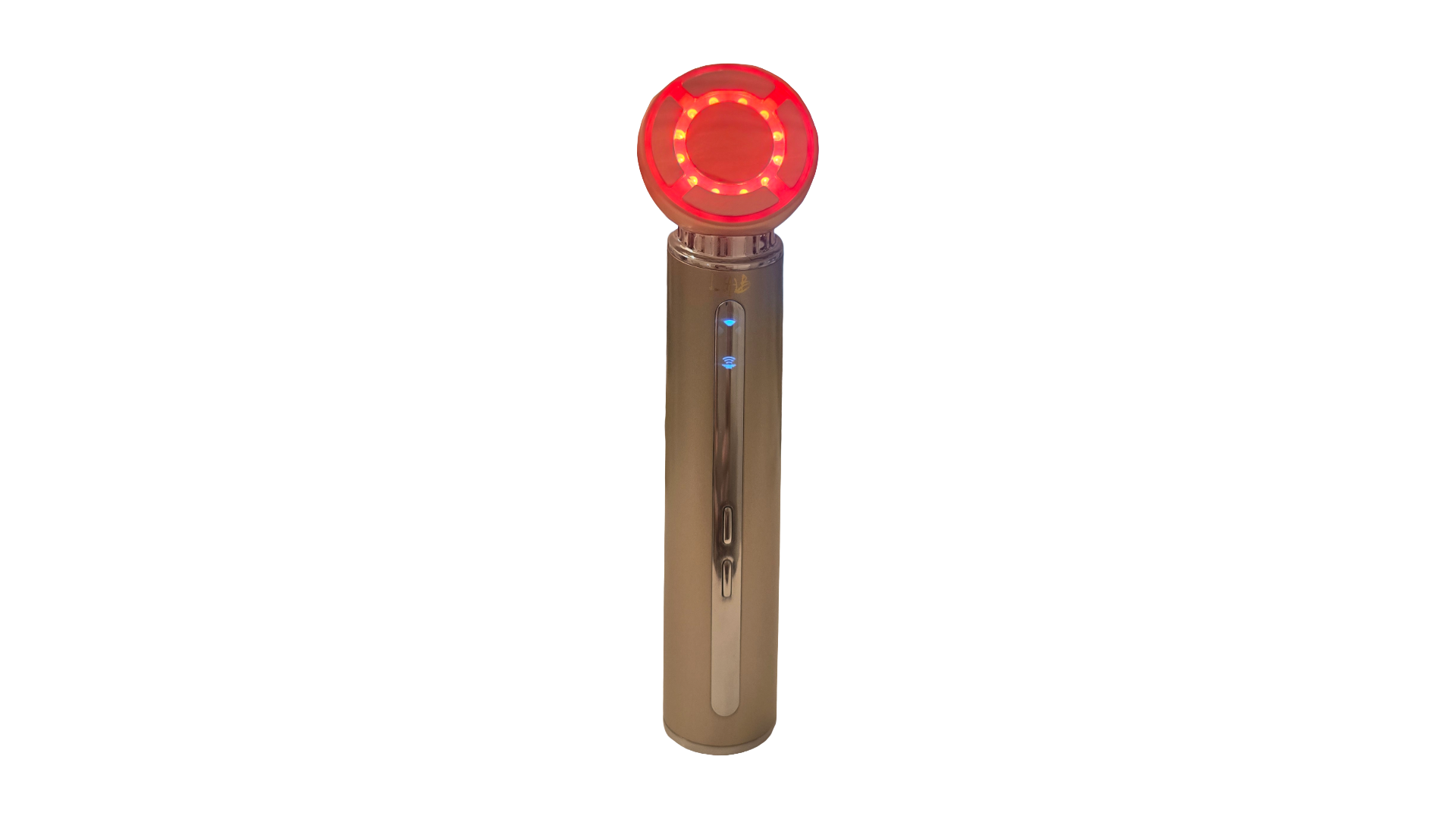 ELECTROPORATION