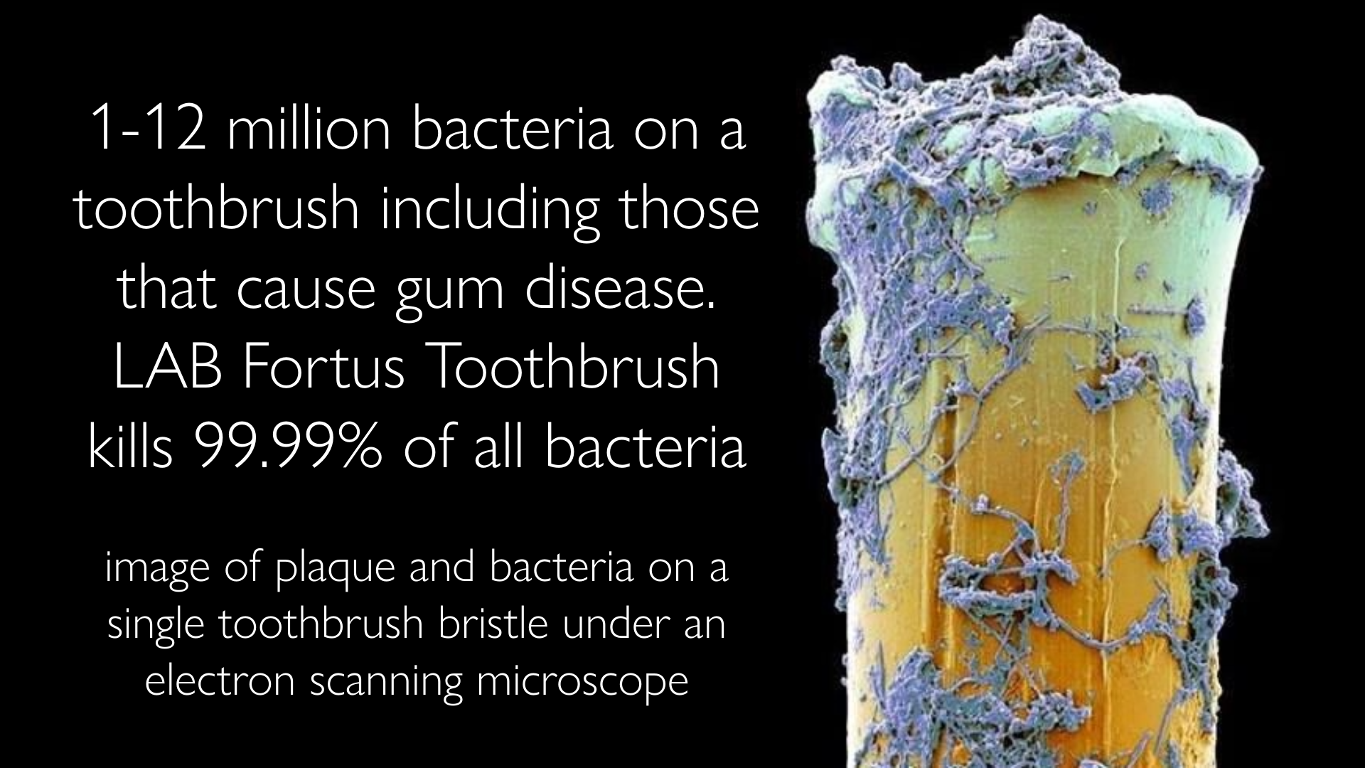 FORTUS UV TOOTHBRUSH