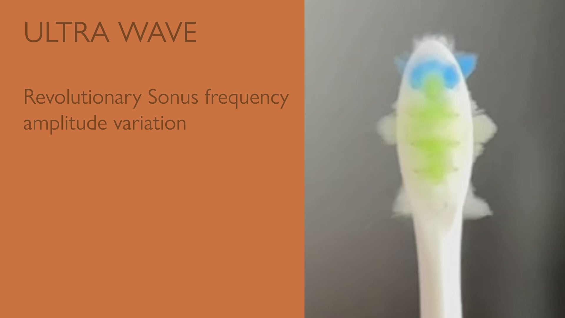 REPLACEMENT SONUS TOOTHBRUSH HEADS
